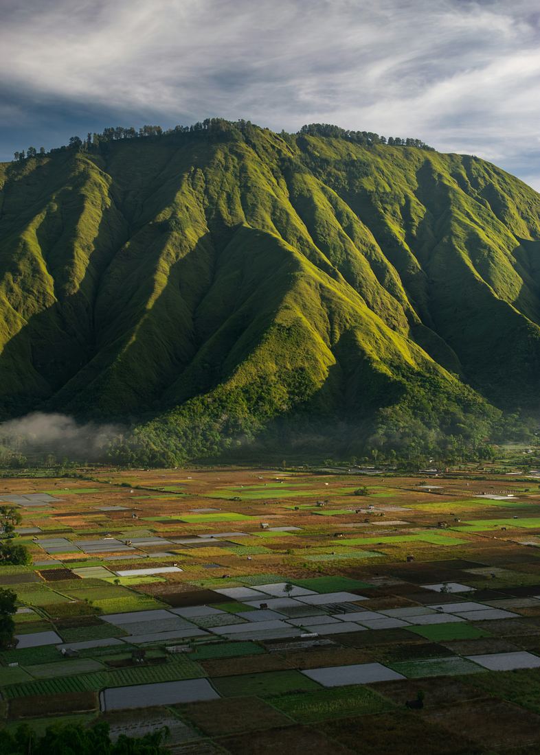 A ridged green mountain above a patchwork of farm fields